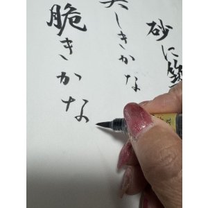 画像19: ASUTOREIA 格言Tシャツ