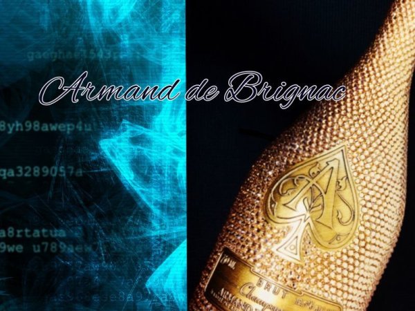 画像3: アルマンドブリニャック  全貼りデコ 750ML (お酒別売り) (3)