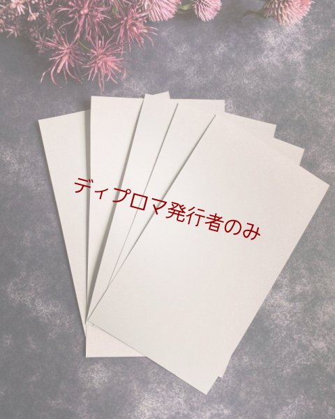 画像1: デコ用ライトシルバーラミネートシートポストカードサイズ 14.8cm×10cm. 5枚入り  (デコレーション用大)  ディプロマ発行者のみ (1)