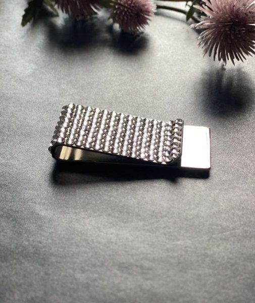 画像5: マネークリップ ボーダー クリスタルシルバー (5)