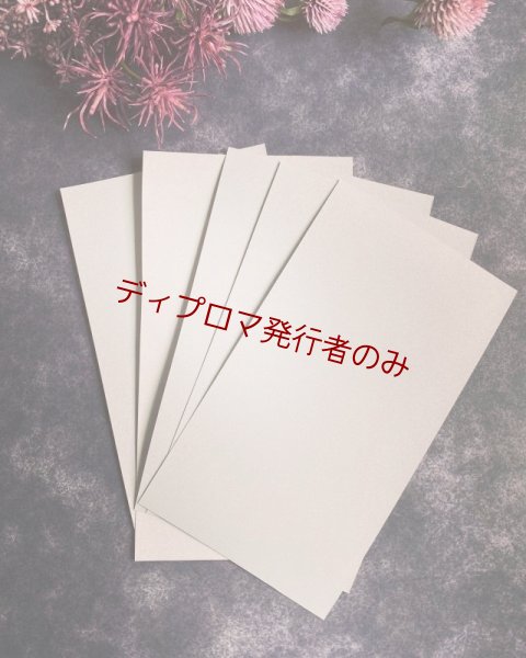 画像1: ラミネートシート　ライトシルバー　1010mm切売り　ディプロマ発行者のみ購入可 (1)