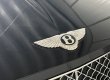 画像3: ベントレー BENTLEY コンチネンタル／LDY製 スワロフスキー®︎クリスタル ボンネットエンブレム（フロント、リアエンブレム）デコレーションのみ (3)