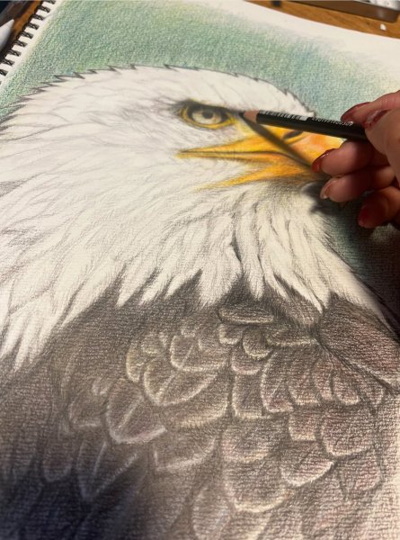 画像6: 鉛筆画 A4サイズ (6)